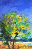 summer landscape