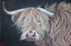 Highland beastie