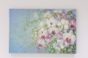 Blossoming Orchids