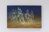 The horses’ race 