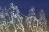 The horses’ race 