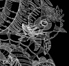 Order in chaos