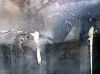 Primordial Germination of Space