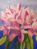 Pink rhododendron watercolour painting 