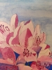 Pink rhododendron watercolour painting 