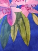 Pink rhododendron watercolour painting 