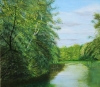 The River Wey at Pyreford 