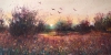 Twilight In The Forest