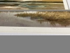The Bird Hide