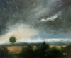 The Nature of Dorset