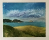 Hope Nose Torbay