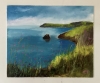 Berry Head - Day for Dolphins