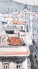 Valencia Rooftops