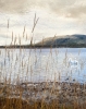 The Swans of Loch Leven