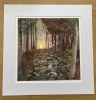 The Cornish Forest