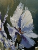 Lakeside Irises dream