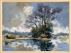 Tranquil Tree on Water