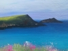 Wild Flowers at Polly Joke II