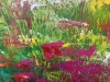 Wild Flowers at Polly Joke II