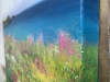 Wild Flowers at Polly Joke II