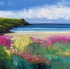 Wild Flowers at Polly Joke