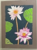 Waterlily (white & purple hue)