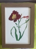 Crimson day lily