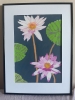 Waterlily (white & purple hue)
