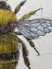 Bee the change 