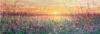 A New Day