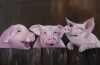 Three little piggies