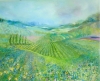 Lavender in Provence 2025