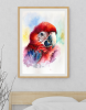 Crimson Majesty | Original Watercolor Painting | Scarlet Macaw | A3 Size
