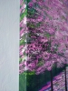Magenta and Light