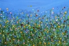 Meadow Radiance #4