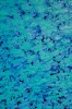 Shifting Paradigm  - 9