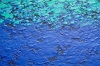 Shifting Paradigm  - 9
