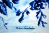 The Blue Garden