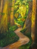Pathway into the Forest