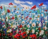 Daisies in love 