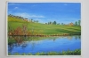 River Aire, Yorkshire