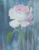 Rose Blush