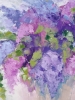 Scent of a spring night
