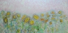 Wild Sunflower Meadow