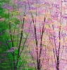 The Forest Holds a Secret