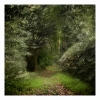 The Golden Path