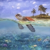 The Turtle