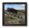 The Winds of Change