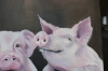Three little piggies