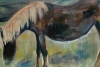 Dartmoor Pony
